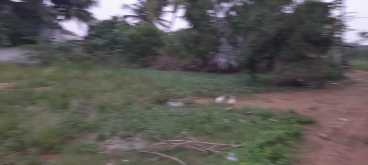 Residential Plot / Land